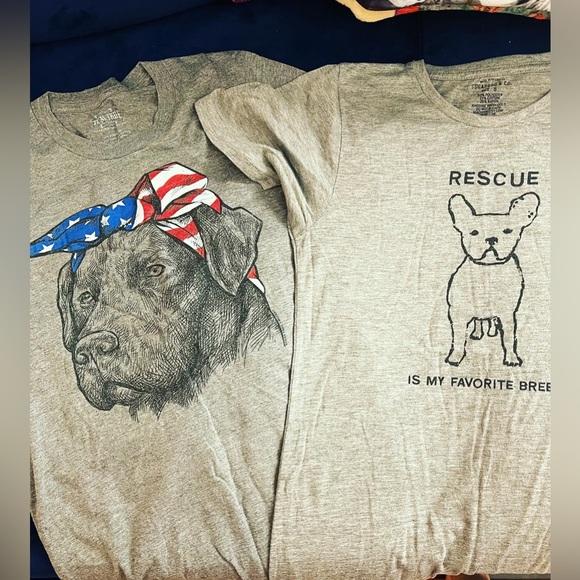 🔥NWT & LIKE NEW PET DOG LOVER LOUNGE T-SHIRT SHORT LOT OF 4 S/M BOSTON - Picture 4 of 7